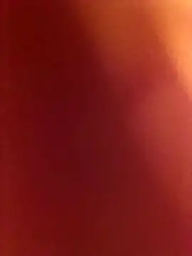 skewalker webcam show