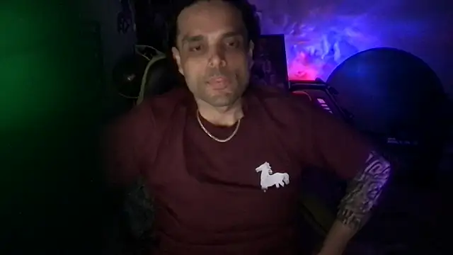 KungFuPanda001 Show in webcam