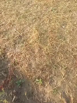 FinableKnee Adlı Modelin Web Kamerası Şovu