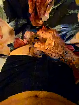 Show webcam de 247letsgo