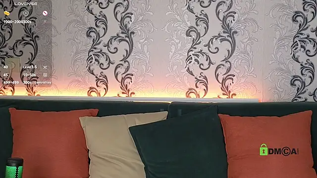 Lady__V – Kamerová šou