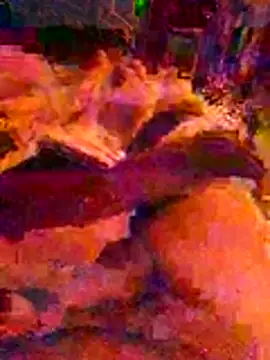 AHMED0233 Pertunjukan Webcam