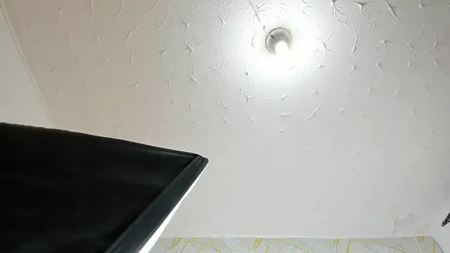 Alison_Chan_ 웹캠 쇼