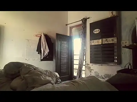 Dollseyeのウェブカメラショー