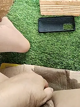 leona118 Pertunjukan Webcam