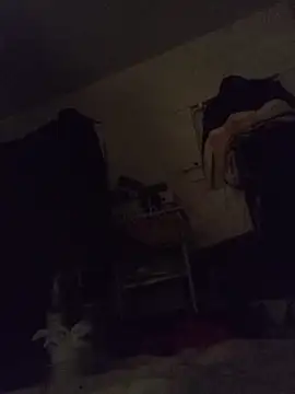 DevinToore ওয়েবক্যাম শো