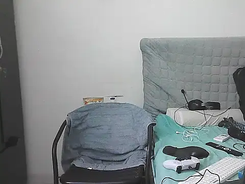 IronSideBear webcam show