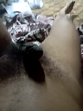 Show webcam de medo141414