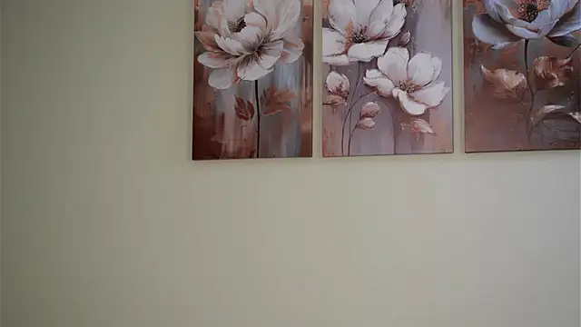 HermaFrain লাইভ XXX চ্যাট