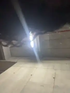 Chat XXX Live ZarahFerreira