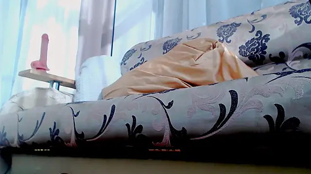 Live_View 웹캠 쇼