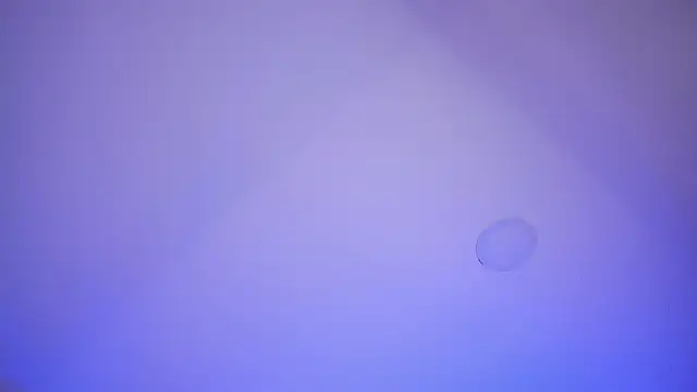 Marily_Daniela_'s Live XXX Chat