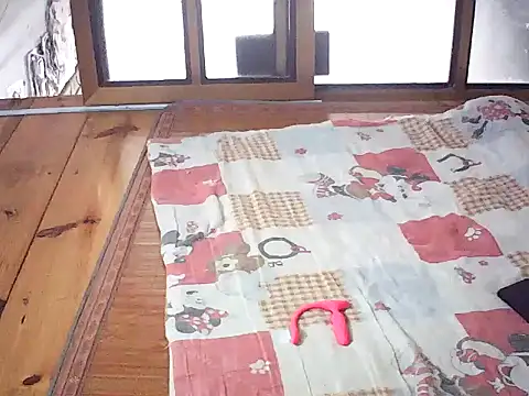 Deptraidatinh webkamerás műsora