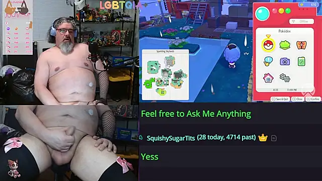 geekycastilloのウェブカメラショー