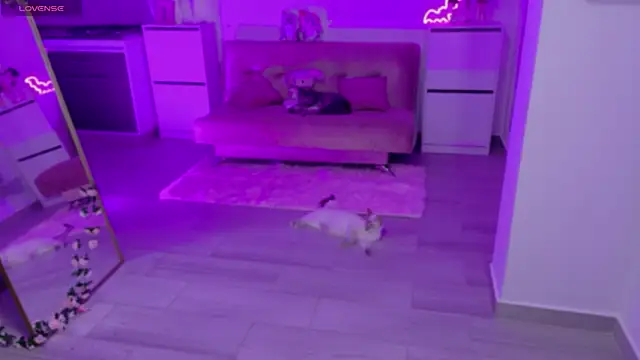 Czat XXX na żywo – Blush_Marie