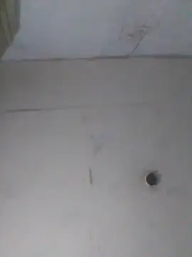 cobrosdepagos' Webcam Show