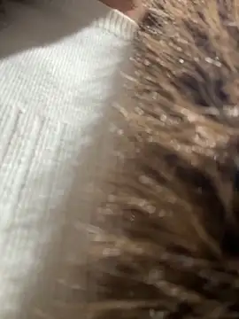 NewLalen Webbikameraesitys