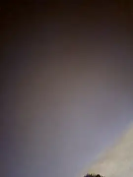 Roddog18 Chat XXX live