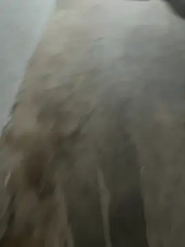 Stressreliever82 – Live XXX-chat