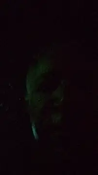 XXCUTHULU23n Webbikameraesitys