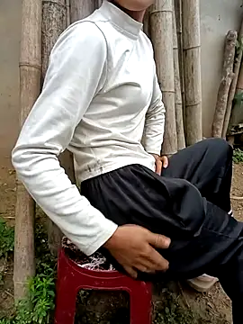 Hoa-tuylip Webcamshow