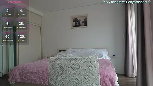 sony_plays' Webcam Show