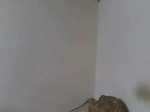 elpoop7305 Show Webcam