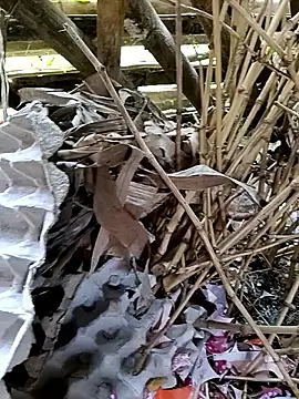 Webkamerová show Sexy-Aliya