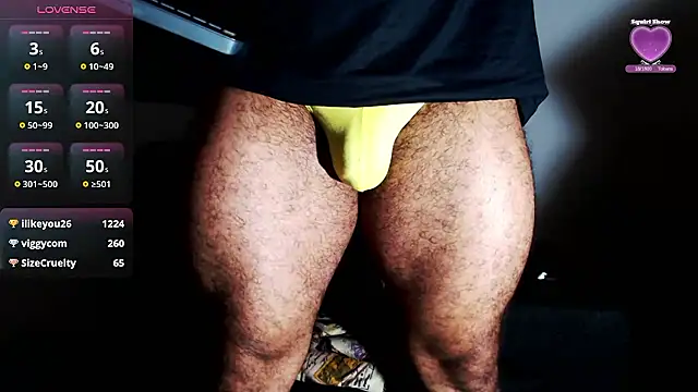 Show webcam de willian_m777