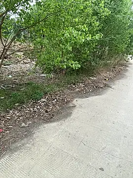 goudanlove Obrolan Langsung XXX