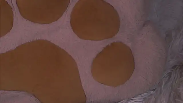 Živý XXX chat NakeshaPogar