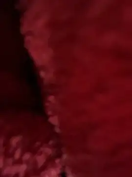 Liness101 在線直播表演