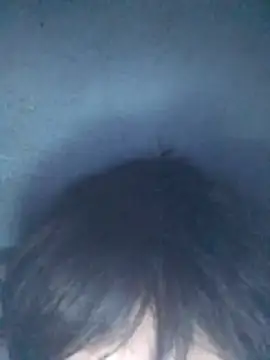 Show webcam de Userknowarg