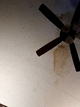 HexedPortraitn Webbikameraesitys