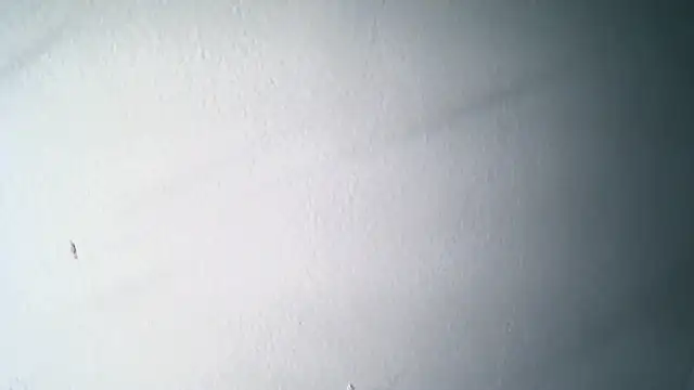 Pokazy przed kamerką – vanessasexydancer