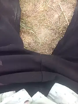 FinableKnee 网络视讯表演