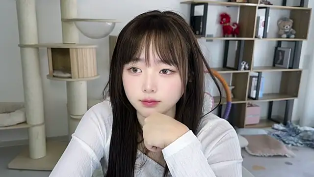 SakuraCat6 网络视讯表演