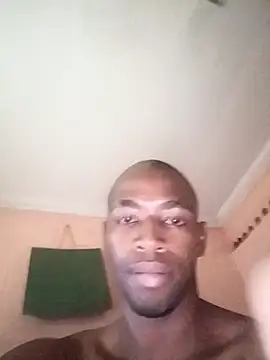 LILNMSn Webbikameraesitys