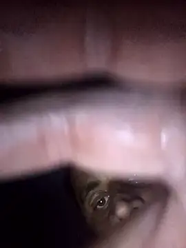 BarbudoSP35のウェブカメラショー