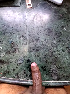 Show de MidnightTalks na webcam