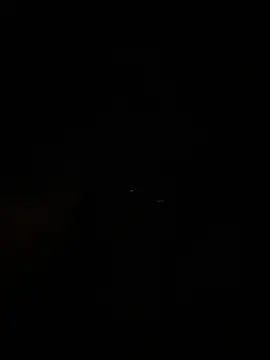 Midnightcatt 在線直播表演