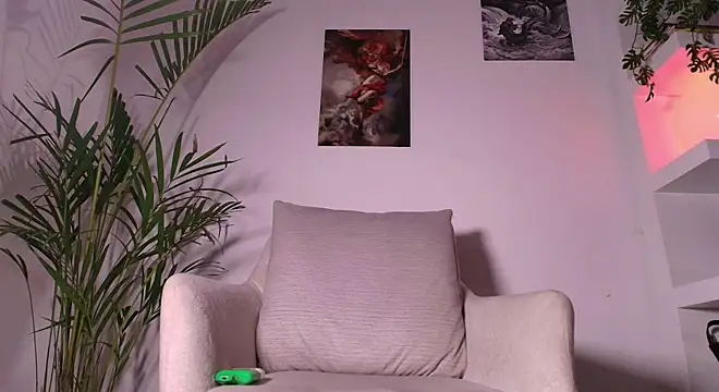 andyypalmer_n Webbikameraesitys