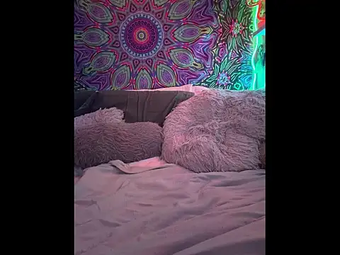 Czat XXX na żywo – Jackjack716