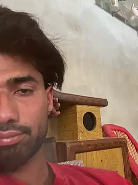 lustyrain Webbikameraesitys