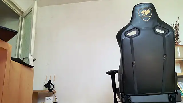 ChrisKox 라이브 XXX 채팅