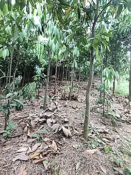 Ruby_Lucy live XXX chat