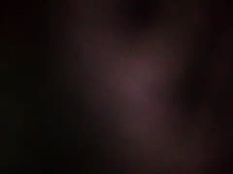 DauntedHumulin webcam show