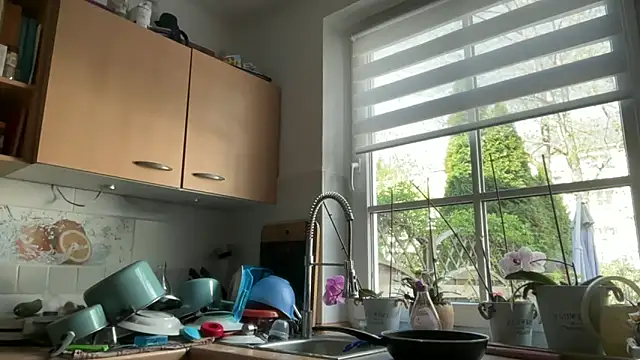 s-te-fan-i live XXX chat