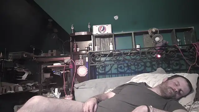 Show Webcam de charactrzero