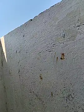 Desicouple1706 网络视讯表演